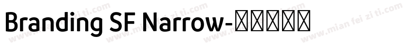 Branding SF Narrow字体转换